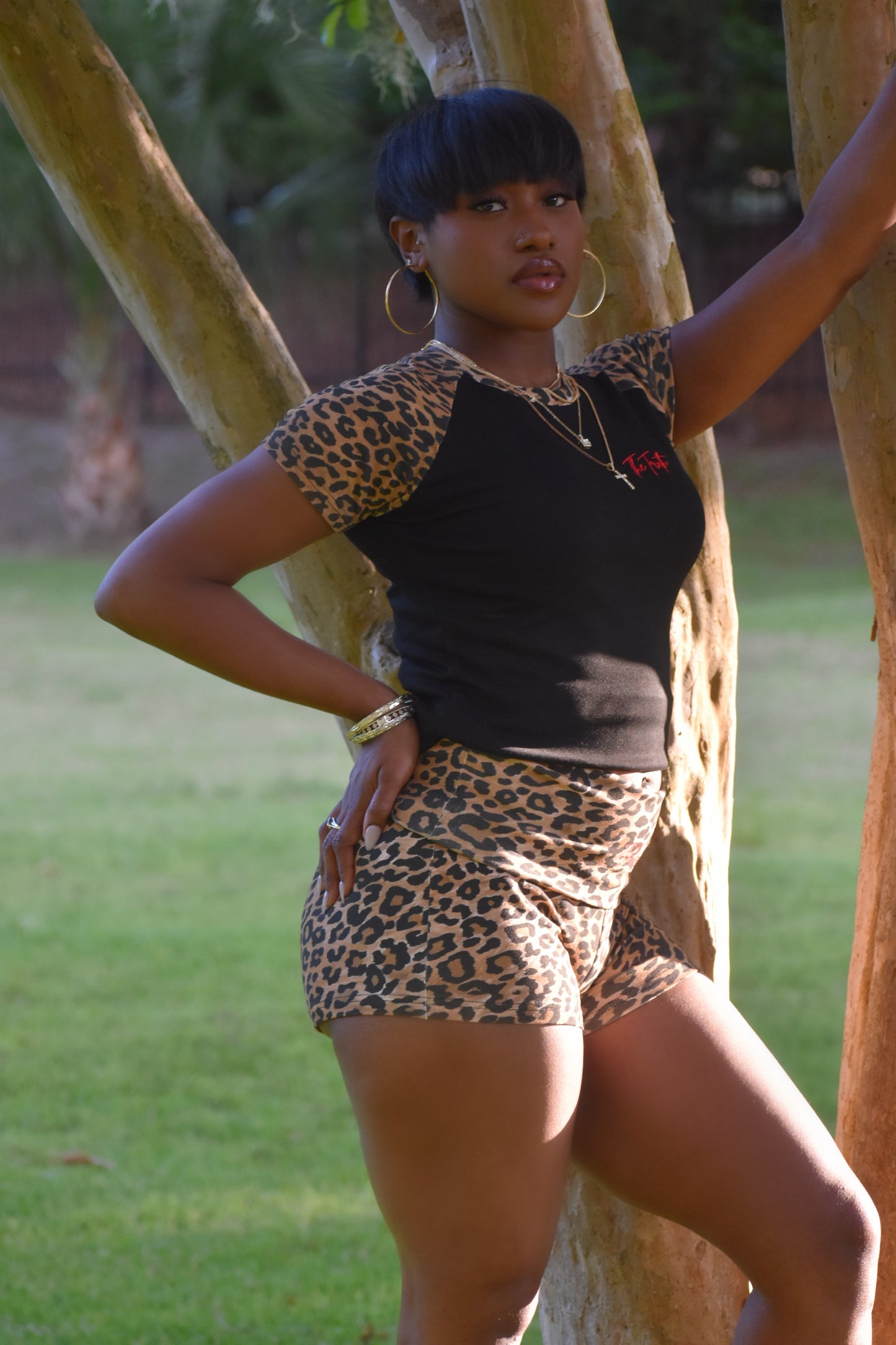 Wild Side2.0